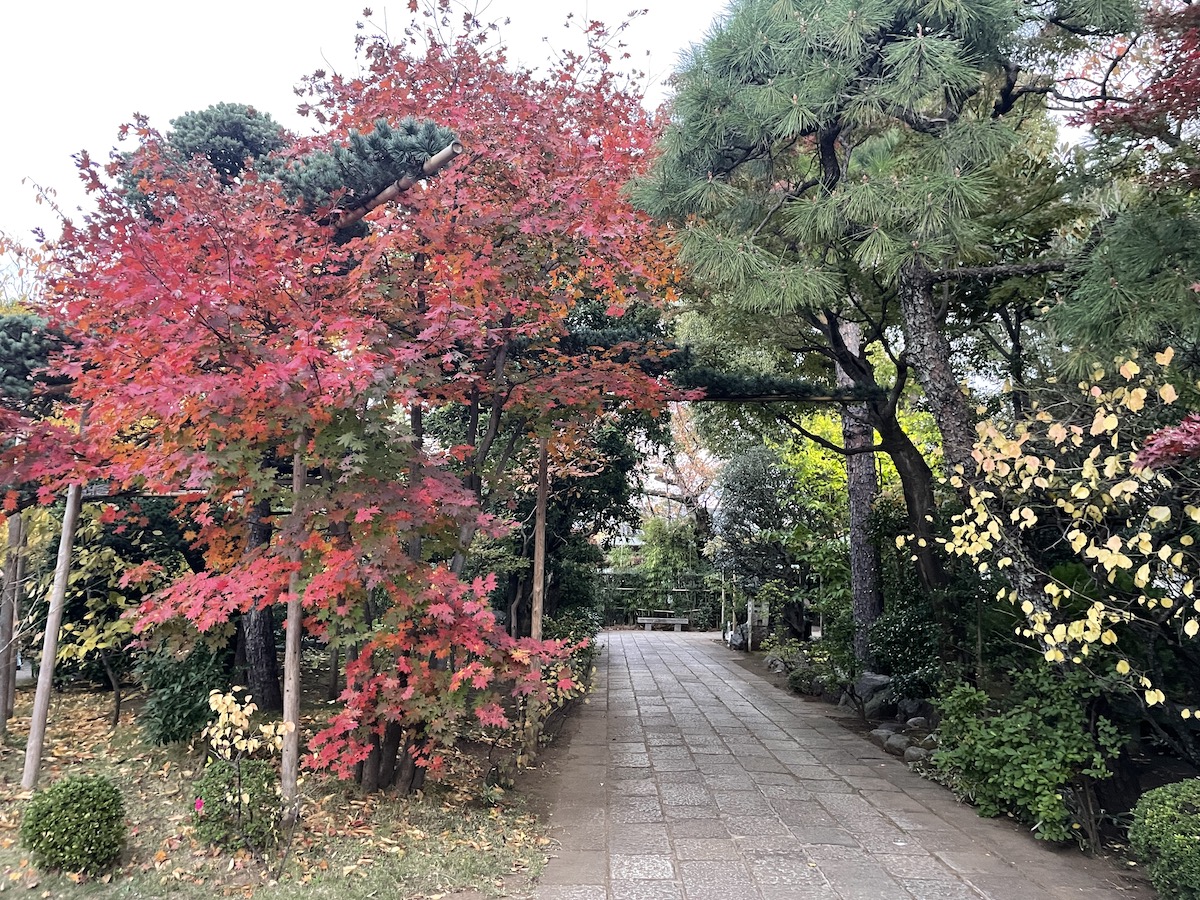 芳澤勝弘先生の講演「「白隠禅師とバンクシー」を拝聴しました 古美術 景和